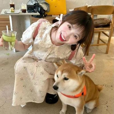 拉米第三季